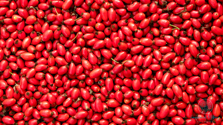 how-to-make-rosehip-syrup