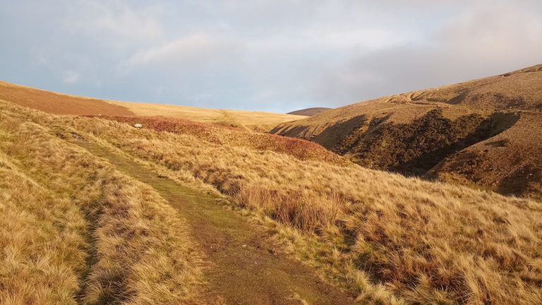 Life Transitions Are a Spiral, Not a Straight Line