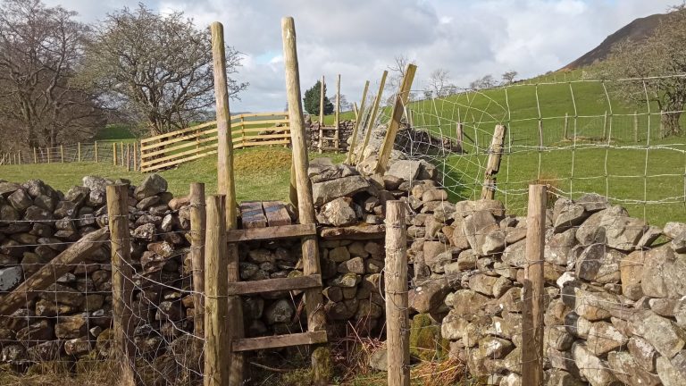 The Threshold: A Life Transition Turning Point
